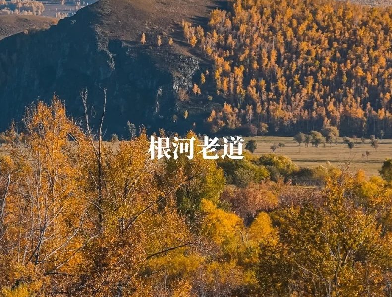 秋季魔王公路 _ 被人遗忘的根河老道